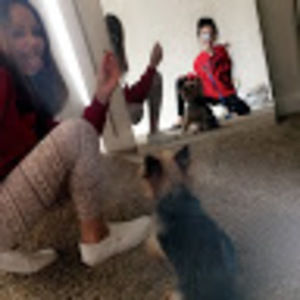 Meet your Posher, Daniela